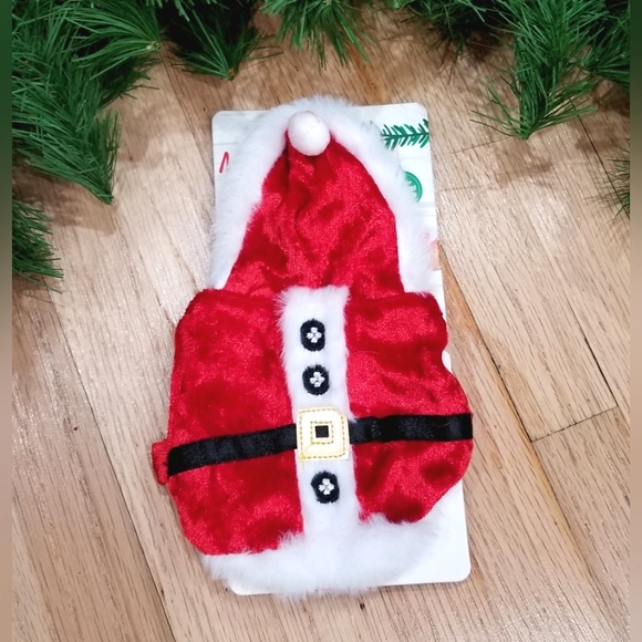 Santa Bearded Dragon costume - Picture 2 of 2